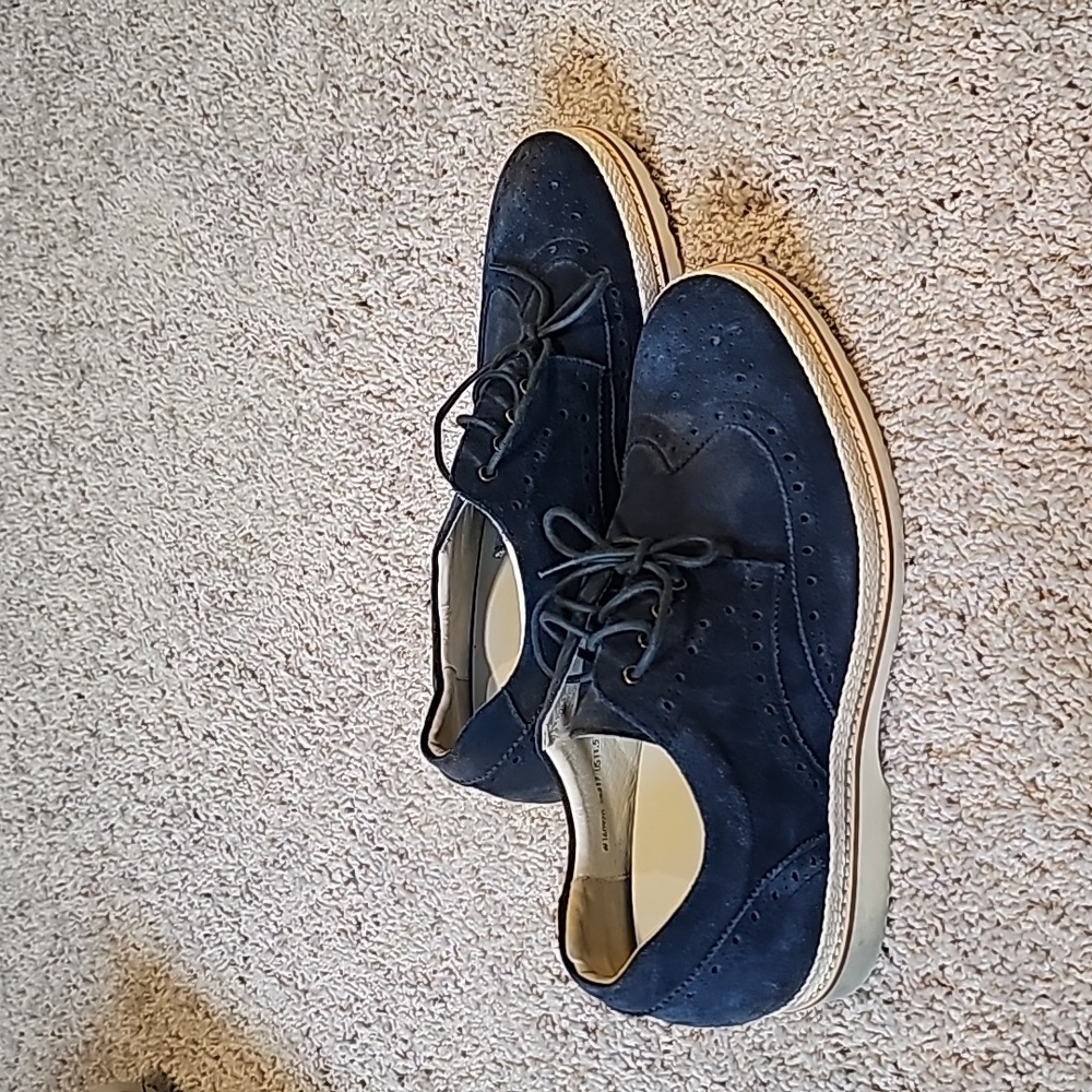 Toto Blue Shoes